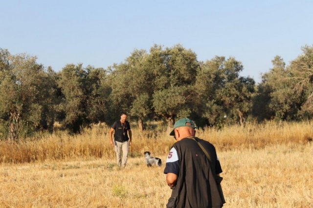 Αγωνες Α.Κ.Ι 11/6/2017